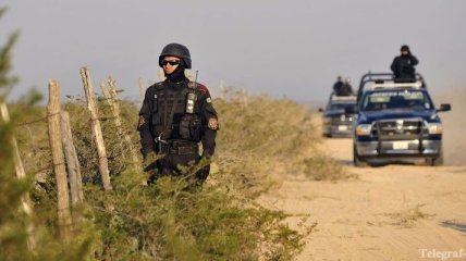 В Мексике нашли семь трупов со следами пыток