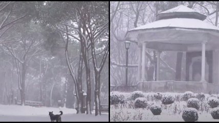 На Турцию обрушились мощные снегопады, Стамбул ожидает повторения зимы 1987 года (видео)
