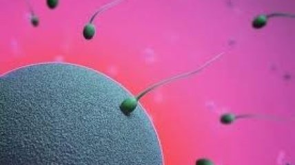 Сперма мужчин редеет с каждым годом