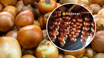 У серпні саме час починати збирати врожай цибулі
