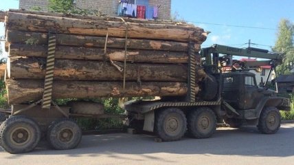 На Буковине СБУ задержала грузовик, который незаконно перевозил древесину