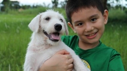 9-летний мальчик создал приют для бездомных собак (ФОТО)