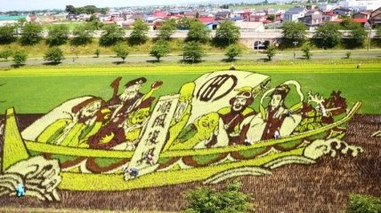 Талантливые фермеры Японии: потрясающие картины на рисовых полях (Фото)