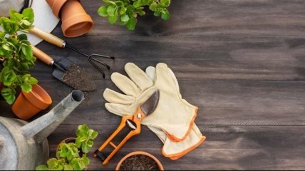 Садовый инструмент