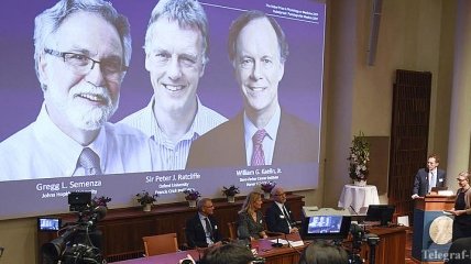 Нобелевская премия по медицине 2019: имена лауреатов