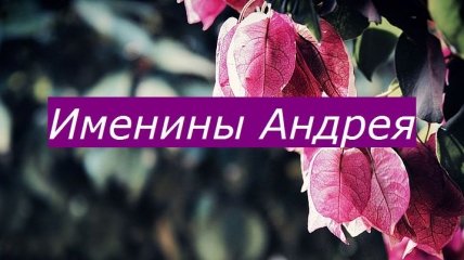 Кто сегодня празднует день ангела: значение имени и нежные поздравления