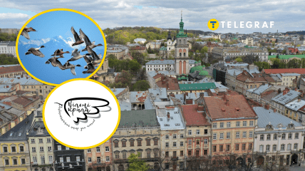 Какое животное спасли на западе Украины