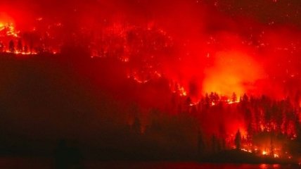 Канарские острова опустошают сильные пожары