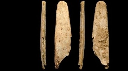 Археологи: Неандертальцы имели современные орудия труда
