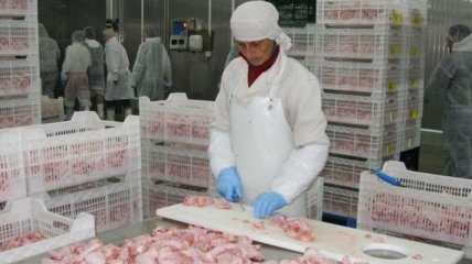 Стало известно, сколько заработает Украина на экспорте курятины
