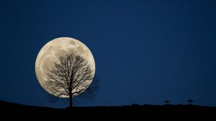 Полнолуние 25 января называется "волчьей Луной"