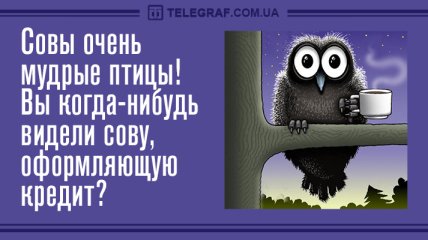 Всем прекрасного вечера: смешные анекдоты 19 декабря