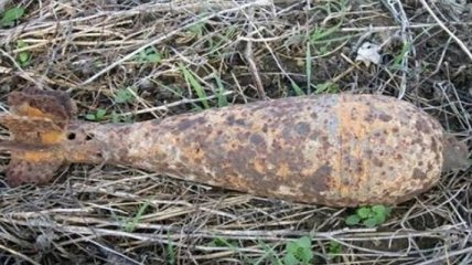 В парке Дружбы народов обнаружили снаряд Второй мировой