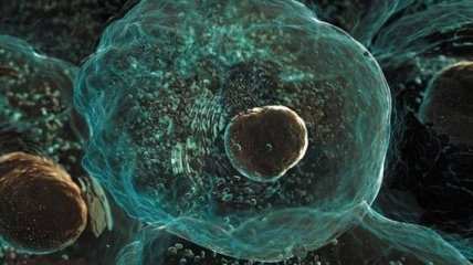 Ученые создадут трехмерную живую клетку