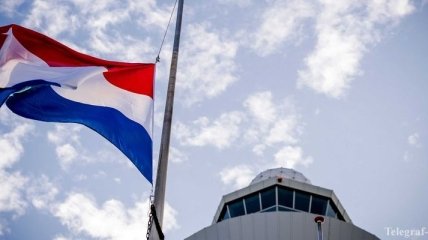 МИД России вызывает посла Нидерландов из-за рейса МН17
