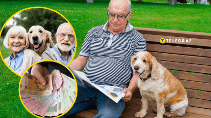 Завдяки улюбленцям можна поповнити бюджет