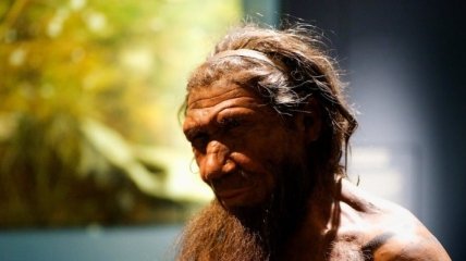 Доказано, что у неандертальцев была правильная, человеческая осанка