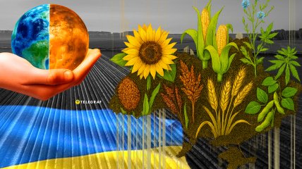 На полях чаще встречаются бобовые, лен, гречиха и конопля. Фото Коллаж "Телеграфа"