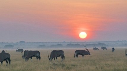 Самые большие и красивые заповедники мира (ФОТО)