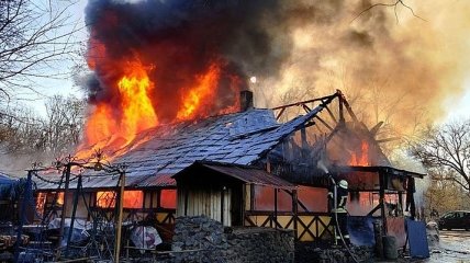 В Киеве в Гидропарке сгорело деревянное кафе: фото и видео 