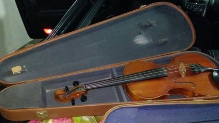 Украинка на Закарпатье пыталась вывезти за границу старинные скрипки