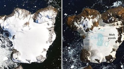 NASA зробило фото льодовиків щоб показати масштаб катастрофи (Фото)
