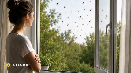 Комары больше не будут проблемой