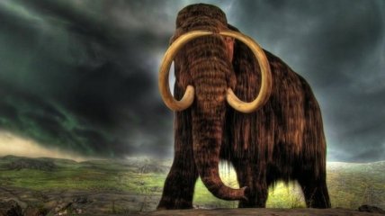 В Англии нашли зуб мамонта гигантских размеров