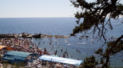 Уровень туристического сбора в Крыму вырос на 11,4%
