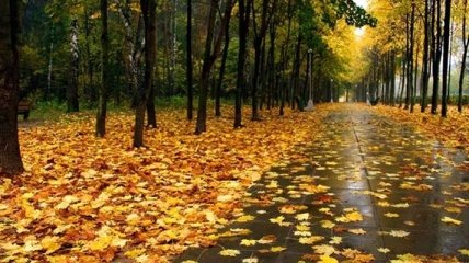 Погода в Украине 27 сентября: местами будет дождливо