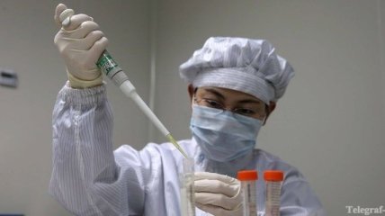 Новый вид птичьего гриппа в Китае может привести к пандемии