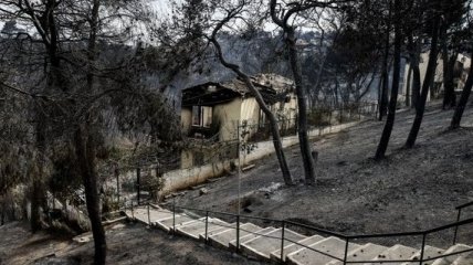 Греция в огне: шокирующие видео огненной стихии 