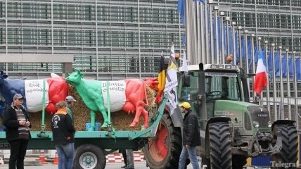 Европарламент не смог договорится с фермерами (Фото)