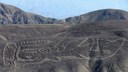 В Перу нашли семидесятиметровый уникальный рисунок