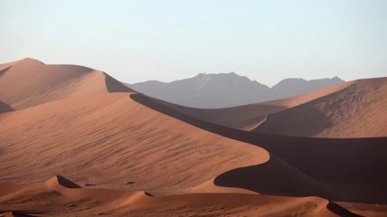 В самой сухой пустыне обнаружена уникальная экосистема