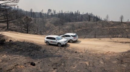 В Калифорнии бушуют пожары: под Лос-Анджелесом начали эвакуацию