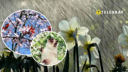 Конец второго месяца весны не будет теплым