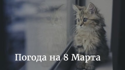 Прогноз погоды на 8 марта 2020: какой будет погода на праздник