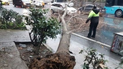 Ураган в Стамбуле сорвал крыши и повалил деревья: туристов предупредили об угрозе (Фото, Видео)