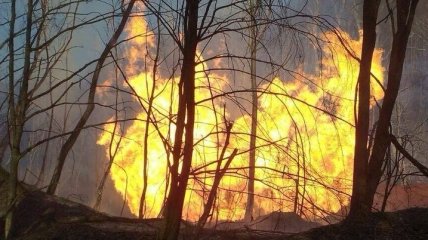 На Закарпатье взорвался и горит магистральный газопровод