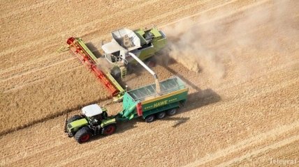 Спад сельхозпроизводства в Украине составил 5,8%