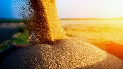Украинское зерно продолжает поставляться по "Зерновому соглашению"