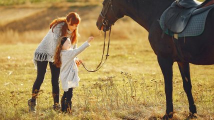 Какой сегодня праздник - День Флора и Лавра, покровителей лошадей