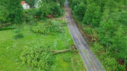 Сорванные крыши и поваленные деревья: Германией пронесся торнадо