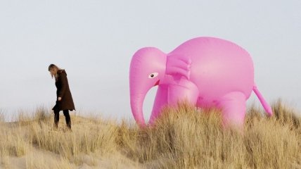 Проект о детских мечтах «Розовый слон» (ФОТО)