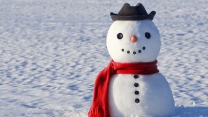 Самые необычные снеговики: 10 идей, как слепить снеговика
