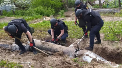 Ракета Х-55 упала на огород жителя Киева
