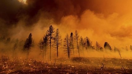 Как в аду: страшная жара в США привела к масштабным пожарам (фото)