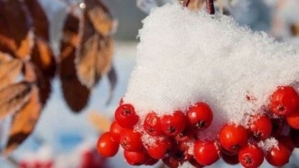 Зимний холод: в Украину движется серьезное похолодание 