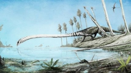 Обитала в воде, а не на суше: палеонтологи исследовали останки рептилии со сверхдлинной шеей